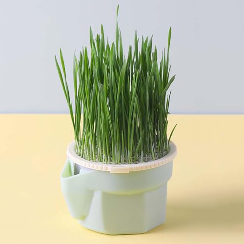 SUMKTO Katzen Snack Katze Minze Pflanzen Hydro ponic Box Katzengras Topf Hydro ponic Katzengras ch achtel nach Hause von SUMKTO