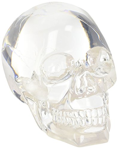 Summit Transparenter Totenkopf-Sammelfigur. von SUMMIT COLLECTION