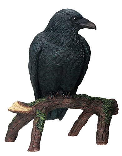 Summit YTC International Black Raven Bird on Tree Branch Figurine Crow Gothic Decoration Collectible New von SUMMIT COLLECTION