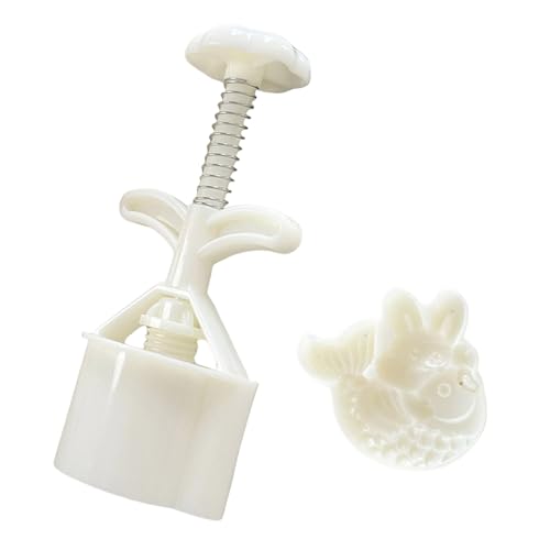 Kuchenformen Dessert Presswerkzeug Pastrys Werkzeug ABS Textur Pastrys Formen Fischform Backgeschmack Geeignet Für Dessert von SUMMITDRAGON