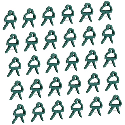 SUMMITDRAGON 30 Stück Gewächshaushalterung Pflanze Feste Clips Für Feste Weinsämling Wiederverwendbarer Garten Tomaten Unterstützen Garten Tomatenstütze Clips von SUMMITDRAGON