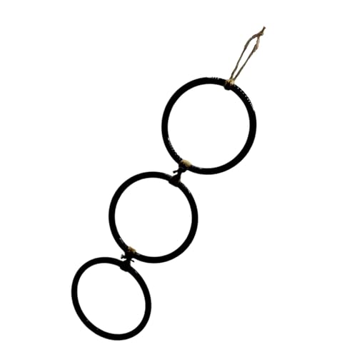 SUMMITDRAGON Pet Snake Climbing Ringe Anregen Habitat Tool Für Bewegungsfähigkeiten Und Sicheres Spielen Von Haustier Schlangen Unterhaltungsausrüstung von SUMMITDRAGON