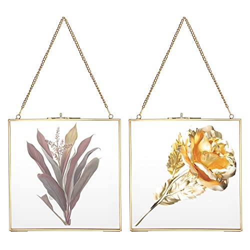 SUMNACON 2 Pack Golden Glass Hanging Artwork Display Photo Frame 20 * 20cm Fotorahmen für Familie Hochzeit Foto Geometrische Ornament Pflanze Probe Clip Für gepresste Blumen Fotos von SUMNACON