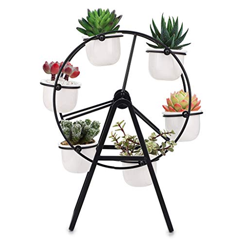 Sumnacon Pflanzenständer in Riesenradform für Sukkulenten, inklusive Keramik-Pflanztöpfe, tolles Display, Mini-Blumenständer mit Töpfen (Pflanzen sind nicht im Lieferumfang enthalten), schwarz von SUMNACON