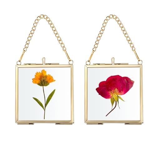 SUMTree 2 Pcs Mini-Quadrat Bilderrahmen aus Metall Glas Hängende Glas Fotorahmen Geometrische Ornament Pflanze Probe Clip Glasrahmen für gepresste Blumen Fotos 2.7 x2.7in/7 x7cm (Golden, nur Rahmen) von SUMTree