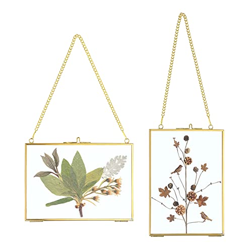 SUMTree 2Pcs Bilderrahmen aus Glas und Metall,Hängende Glas Fotorahmen,Pflanze Probe Clip,Für gepresste Blumen,Fotos,Nur Glasrahmen（Golden,13x18cm,Rechteck） von SUMTree