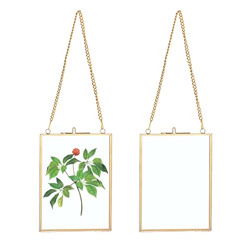 SUMTree 2Pcs Glas Bilderrahmen Hängende mit Ketten Fotorahmen Pflanze Probe Glasrahmen für gepresste Blumen Foto Bilder Nur Glasrahmen（Golden,13x18cm,Rechteck） von SUMTree