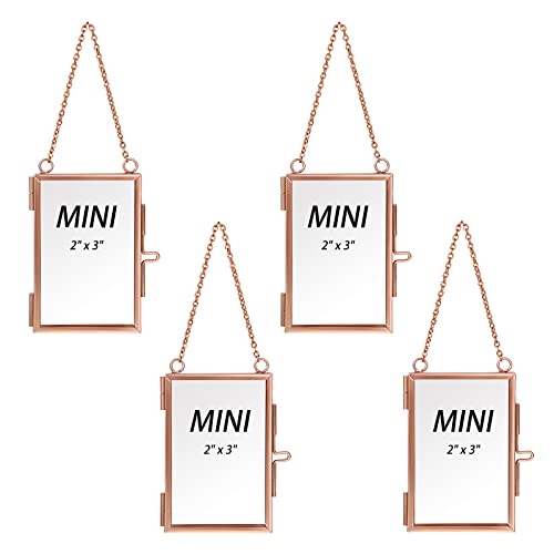 SUMTree 4 Pcs 2x3 inch Mini-Rechteck Bilderrahmen aus Metall und Glas Hängende Glas Fotorahmen Geometrische Ornament Pflanze Probe Clip Für gepresste Blumen Fotos(Rosagolden) von SUMTree