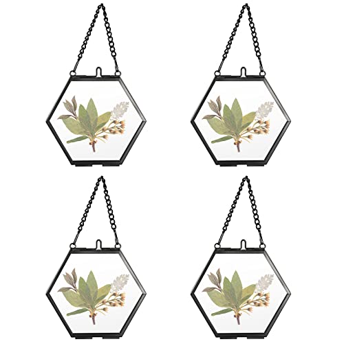 SUMTree 4 Pcs Mini-Hexagon Bilderrahmen aus Metall und Glas Hängende Glas Fotorahmen Geometrische Ornament Pflanze Probe Clip Für gepresste Blumen Fotos(Schwarz,5cm) von SUMTree