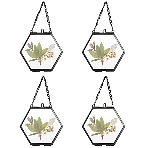 SUMTree 4 Pcs Mini-Hexagon Bilderrahmen aus Metall und Glas Hängende Glas Fotorahmen Geometrische Ornament Pflanze Probe Clip Für gepresste Blumen Fotos(Schwarz,5cm) von SUMTree
