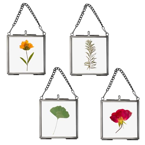 SUMTree 4 Pcs Mini-Quadrat Bilderrahmen aus Metall Glas Hängende Glas Fotorahmen Geometrische Ornament Pflanze Probe Clip Glasrahmen für gepresste Blumen Fotos 2.7 x2.7in/7 x7cm(Schwarz, nur Rahmen) von SUMTree