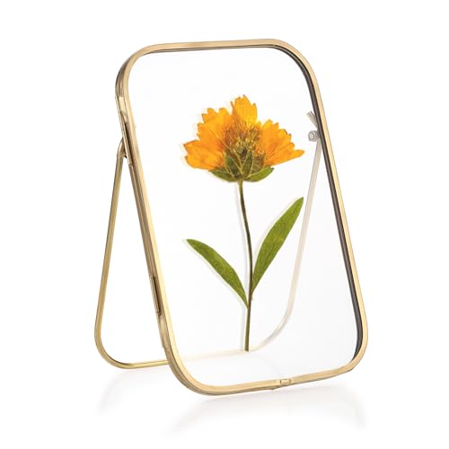 SUMTree Gold Fotorahmen aus Metall, Doppelseitiger Glas Bilderrahmen, Glasrahmen für Gepresste Blumen, Pflanze Probe Clip Glasbilderrahmen für Wohnzimmer, Hochziet, Weichnachten, Neujahr 4x6 inch von SUMTree