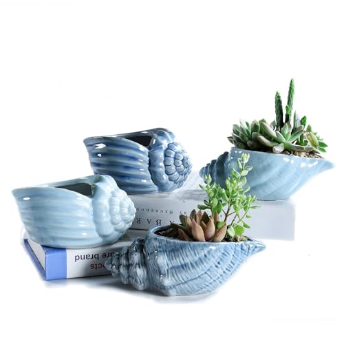 SUN-E Blaue Muschel Ozean Keramikbasis Serien-Set Sukkulenter Blumentopf Kaktus Behälter Pflanzgefäß Mit Drainageloch - Perfekte Geschenkidee 14cm 4 Im Set von SUN-E