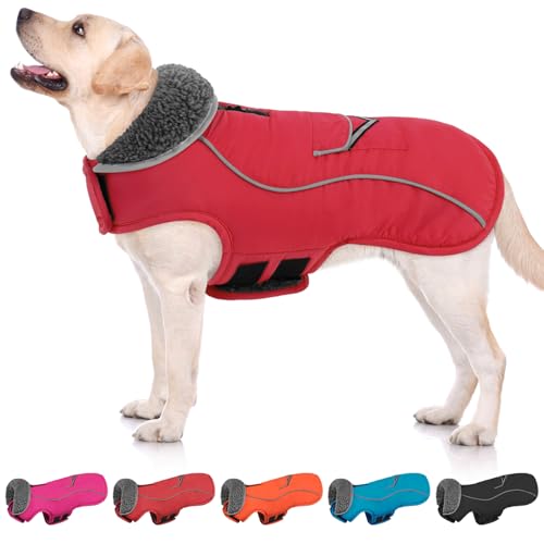 SUNFURA Hunde-Wintermantel, mittelgroße Hundejacke mit Fleecefutter für kaltes Wetter, warme Pufferjacke, Rollkragen, Schneeanzug mit Loch für die Leine für Jack Russel, Boston Terrier, Rot, Größe M von SUNFURA