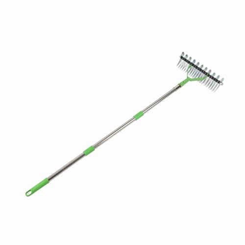 SUNGOOYUE Stahl Rusta Rusta Curvi Curvi DeThatcher Rastal für Prato -Rake -Liebhaber SUNGOOYUE Stahl Rusta Rusta Curvi Curvi DeThatcher Rastal für Prato -Rake -Liebhaber von SUNGOOYUE