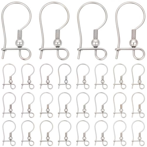 SUNNYCLUE 1 Box 100 Stück Silberfarbene Ohrhaken Nieren Ohrringhaken Hebelverschluss Fisch Ohrhaken Beschläge Tropfenform Langer Ohrhaken Aus Edelstahl Verbinder Für Schmuckherstellung Zubehör Zum Sel von SUNNYCLUE