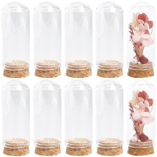 SUNNYCLUE 12 Stück Mini Glockenglocke Glaskuppel 30x70 mm Gewölbte Gläser Mit Korkboden Klares Glas Display Glockenglocke Kleine Glasglocken Zur Blumenaufbewahrung Zuhause Weihnachtsfeier Gastgeschenk SUNNYCLUE 12 Stück Mini Glockenglocke Glaskuppel 30x70 mm Gewölbte Gläser Mit Korkboden Klares Glas Display Glockenglocke Kleine Glasglocken Zur Blumenaufbewahrung Zuhause Weihnachtsfeier Gastgeschenk von SUNNYCLUE