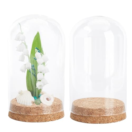 SUNNYCLUE 2 Stück Glasgefäße Mit Kork 80x145 mm Klare Glaskuppelabdeckung Kleine Glaskuppeln Mit Korkstopfen Glaskuppelabdeckung Mini Glasflaschen Glasgefäße Flaschen Für Zuhause Partygeschenke Hochze von SUNNYCLUE