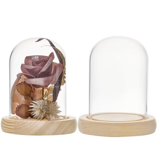 SUNNYCLUE 2 Stück Glaskuppel Miniatur 91x112 mm Glaskuppel Mit Holzsockel Kleine Glaskuppeln Glaskuppelabdeckung Mini Glasflaschen Glasgeschenkgläser Cloche Glasglocke Für Zuhause Party Hochzeit Gesch SUNNYCLUE 2 Stück Glaskuppel Miniatur 91x112 mm Glaskuppel Mit Holzsockel Kleine Glaskuppeln Glaskuppelabdeckung Mini Glasflaschen Glasgeschenkgläser Cloche Glasglocke Für Zuhause Party Hochzeit Gesch von SUNNYCLUE