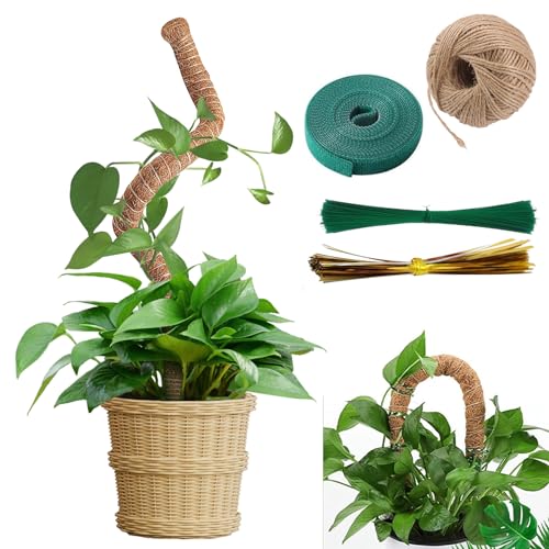 Monstera Rankhilfe, 120cm Moosstab, Biegbar Rankhilfe, Rankhilfe Zimmerpflanzen Mit Zubehör, Aus Natürlicher Kokosfaser, Moss Pole, Pflanzen Zubehör, Pflanzenstab für Kletterpflanzen Pflanzenstütze von SUNOYA