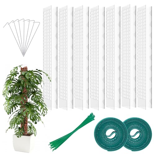 Monstera Rankhilfe, 7 Moosstab, Rankhilfe, Rankhilfe Zimmerpflanzen Mit 7 Erdspieße Und Drehbinder, Rankhilfe Zimmerpflanzen Mit Zubehör, Moosstangen-Sets für Monstera Kletterpflanzen Zimmerpflanzen von SUNOYA