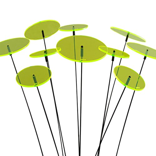 SUNPLAY "Sonnenfänger-Scheiben in GRÜN, 10 Stück im Set, 5 Stück à 7 cm und 5 Stück à 10 cm Durchmesser + 35 cm Schwingstäbe SUNPLAY "Sonnenfänger-Scheiben in GRÜN, 10 Stück im Set, 5 Stück à 7 cm und 5 Stück à 10 cm Durchmesser + 35 cm Schwingstäbe von SUNPLAY