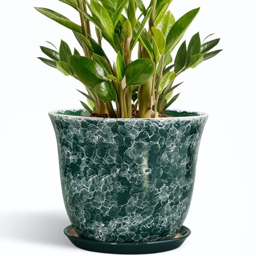 SUNPOTFOR Keramik-Blumentöpfe - 25,4 cm Pflanztopf für drinnen und draußen, runder Übertopf mit Ablaufloch und Tablett, dekorative Blumentöpfe, moderne Pflanzgefäße, Heimterrasse, Gartendekoration SUNPOTFOR Keramik-Blumentöpfe - 25,4 cm Pflanztopf für drinnen und draußen, runder Übertopf mit Ablaufloch und Tablett, dekorative Blumentöpfe, moderne Pflanzgefäße, Heimterrasse, Gartendekoration von SUNPOTFOR