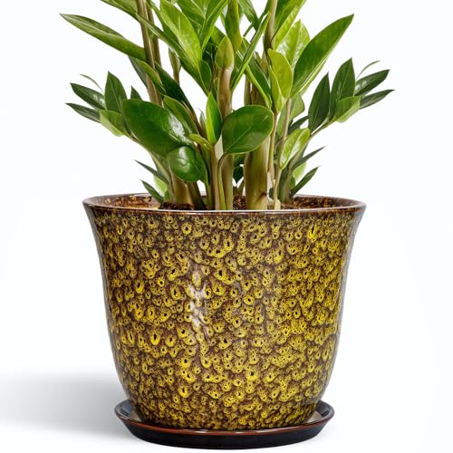 SUNPOTFOR Keramiktöpfe für Pflanzen - 25,4 cm Pflanztopf für drinnen und draußen, runder Übertopf mit Ablaufloch und Untersetzer, moderner Blumentopf, dekorative Pflanzgefäße, Hausgartendekoration SUNPOTFOR Keramiktöpfe für Pflanzen - 25,4 cm Pflanztopf für drinnen und draußen, runder Übertopf mit Ablaufloch und Untersetzer, moderner Blumentopf, dekorative Pflanzgefäße, Hausgartendekoration von SUNPOTFOR