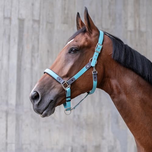 SUNRIDE Biothane Halfter für Pferde - mit Strick - UV-Beständig - anatomisch, verstellbar - extra Polsterung - Nachhaltig & Vegan - antibakteriell - wasserabweisend - rostfrei (blau, Cob) von SUNRIDE