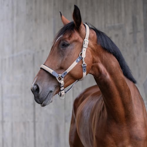 SUNRIDE Biothane Halfter für Pferde - mit Strick - UV-Beständig - anatomisch, verstellbar - extra Polsterung - Nachhaltig & Vegan - antibakteriell - wasserabweisend - rostfrei (grau, Full) von SUNRIDE