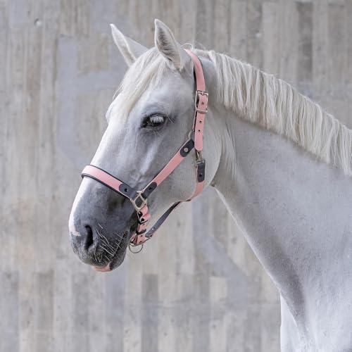 SUNRIDE Biothane Halfter für Pferde - mit Strick - UV-Beständig - anatomisch, verstellbar - extra Polsterung - Nachhaltig & Vegan - antibakteriell - wasserabweisend - rostfrei (rosa, Pony) von SUNRIDE