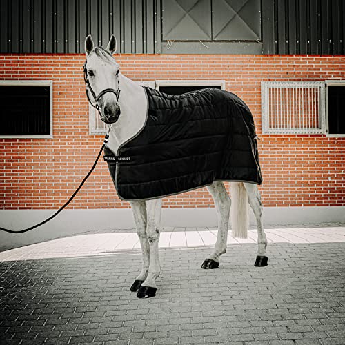 SUNRIDE Unterdecke 150g für Pferde - flexibel kombinierbar mit unseren Winterdecken und Regendecken (125 cm) von SUNRIDE