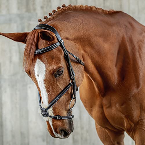 SUNRIDE mexikanische Trense Acapulco mit Zügel - aus Echtleder mit Fell, gepolstert, anatomisch (Pony, schwarz) von SUNRIDE