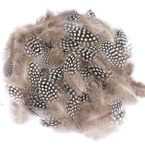 Federn zum Basteln,300 Stück Perlhuhnfedern, 5-12 cm Natürliche Gesprenkelte Federn, Deko Federn, DIY Grau Bastelfedern für Ohrringe, Traumfänger, Kopfschmuck, Hochzeit Dekoration (Braun) von SUNRIZ