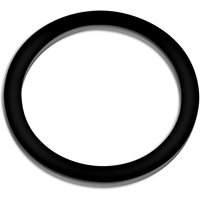 Sunsun - Ersatzteil Dichtung für Bio Teichfilter CBF-350B – Durchlauffilter Teich bis 60.000 l Teichvolumen – bis 10000 l/h – 2 Kammer-System Teich von SUNSUN