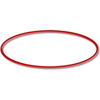 Sunsun - Ersatzteil für Sandfilter CSF-500 O-Ring 1, robuster Pool Sandfilter, effiziente Sandfilteranlage, Pool Filter für klares Wasser von SUNSUN
