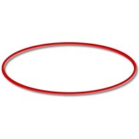 Sunsun - Ersatzteil für cuv 300er und 600er Serie Teichklärer – O-Ring – für Teichfilter, uv Leuchtmittel, uvc Klärer Zubehör von SUNSUN