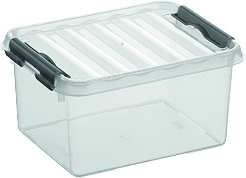 Helit by H6162402-Aufbewahrungsbox The q-line, 2 Liter, mit Deckel, transparent, 1 Stück sunware Box 2l H6162402, durchsichtig von SUNWARE perfectly organised
