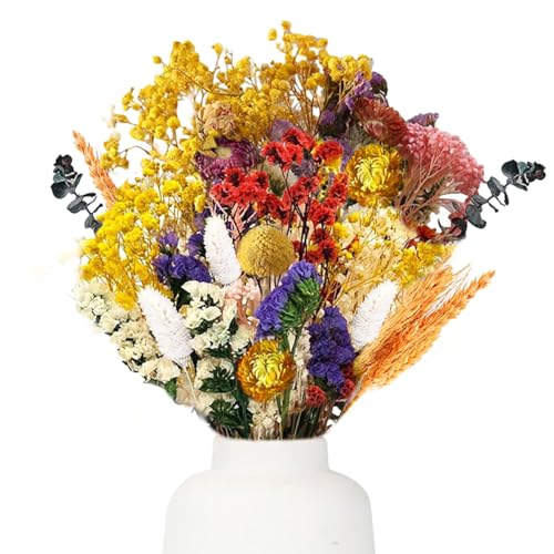 40 Stück Trockenblumen Bunt,36-43 cm Trockenblumenstrauß,Getrocknete Blume,Trockenblumen zum Basteln,Pampasgras,Deko Wohnzimmer,Boho Deko,Hochzeitsdeko,Tischdeko,Eukalyptus Getrocknet Deko von SUNXBUK