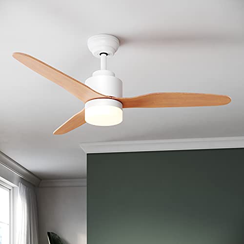 SUNXURY Deckenventilator mit Beleuchtung 18W Farbe Dimmbar Deckenventilatoren mit Fernbedienung Outdoor 119 cm 3 Leistungsstufen Mordern Deckenventilator Intelligente Zeiteinstellung von SUNXURY