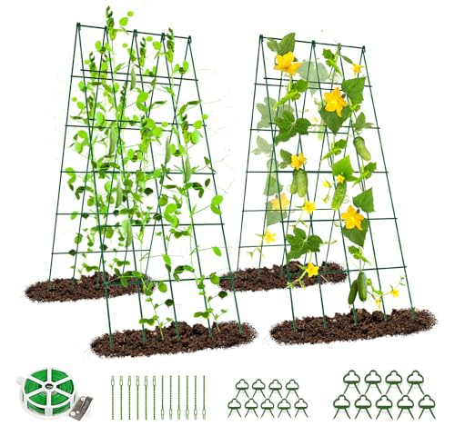 SUNYRISY Metall Gurke Rankhilfe 2er Set, Rankgitter für Gurke, Gitternetz Kletterpflanzen Rankhilfe, Tomaten Rankhilfe, Pflanzenstütze für Blumen & Nutzpflanzen, Grün von SUNYRISY