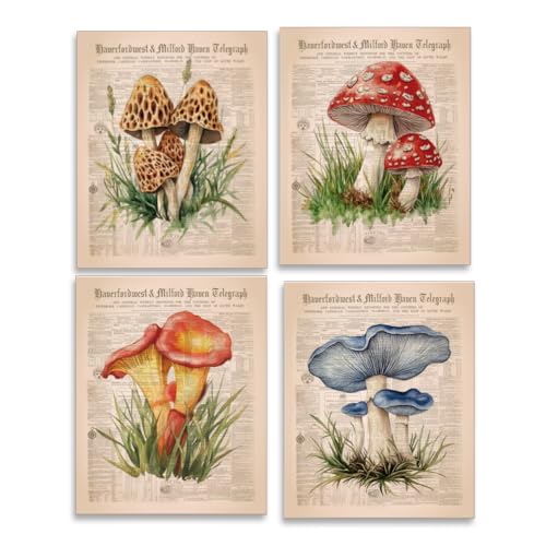 SUPERDANT 4 Stück Bunte Pilz Wanddrucke Vintage Wandkunst Poster Vintage Zeitungs Pilz Wandposter Drucke Für Schlafzimmer Kunstwerke Ästhetische Poster Für Schlafzimmer Ungerahmt von SUPERDANT