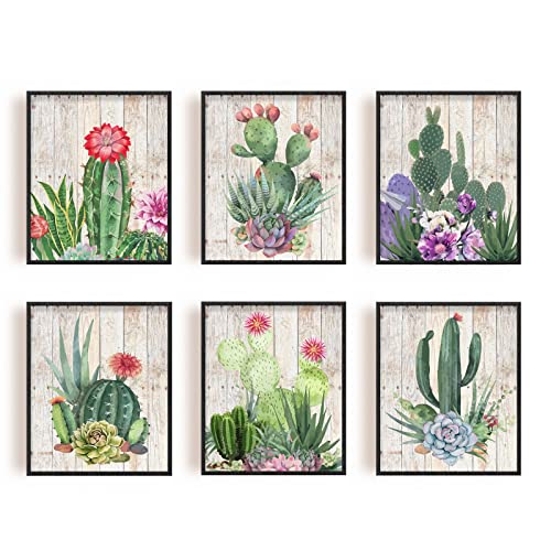 SUPERDANT 6 PCS/Set Ungerahmte Leinwanddrucke Sukkulenten Kaktus Leinwand Kunstdruck Grüne Pflanze Wandkunst Sukkulenten Kaktus Bild Druck Gemälde Wanddekorationen von SUPERDANT