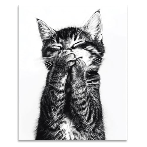SUPERDANT Schwarz Weiße Katzen Wanddrucke Vintage Wandkunst Poster Vintage Kätzchenlachen Wandposter Drucke Für Wände Für Schlafzimmer Kunstwerke Ästhetische Poster Für Schlafzimmer Ungerahmt von SUPERDANT