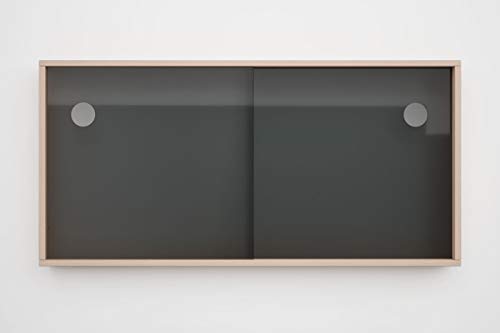 SUPERELCH Schiebetür für Kallax Regal Acrylglastüren Glasvitrine Glastür Laufschiene mit Holzrahmen für Bücher Deko Sammelstücke (Anthrazit) von SUPERELCH