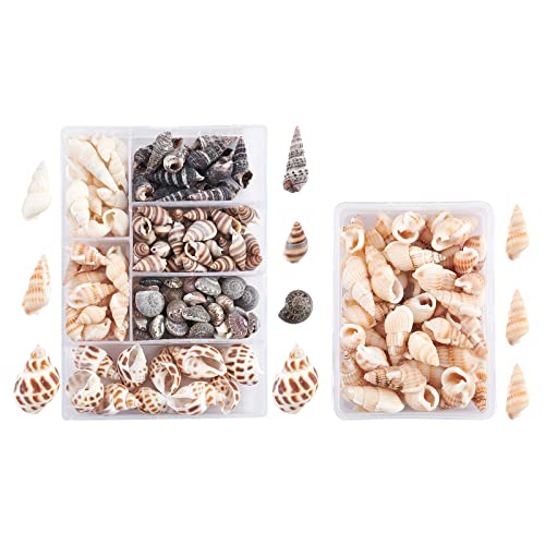 SUPERFINDINGS 140pcs Mischform Muschel Ozean Spirale Muschelperlen Natürliche Muschelperlen Für Kerzenherstellung Dekoration Strand Thema Party Hochzeitsdekor Aquarium Und Vasenfüller von SUPERFINDINGS