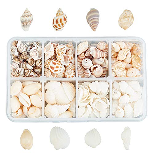 SUPERFINDINGS 244 Stück 8 Stile Natürliche Muschel Perlen kleine Muschel Mini Muschel Dekoration Muschelschalenperlen Gemischte Ozean Spiral Muschelperlen Perlen Muschelperlen ohne Löcher SUPERFINDINGS 244 Stück 8 Stile Natürliche Muschel Perlen kleine Muschel Mini Muschel Dekoration Muschelschalenperlen Gemischte Ozean Spiral Muschelperlen Perlen Muschelperlen ohne Löcher von SUPERFINDINGS