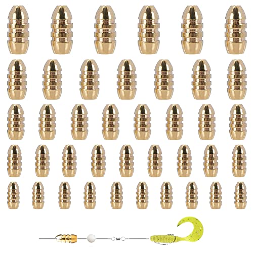 SUPERFINDINGS 52Stk 5 Größen Fischen Messing Bullet Sinkers Gewichte Kit Golden Drop Shot Gewicht Sinker Sortiert Für Texas Rig Und Carolina Rig SUPERFINDINGS 52Stk 5 Größen Fischen Messing Bullet Sinkers Gewichte Kit Golden Drop Shot Gewicht Sinker Sortiert Für Texas Rig Und Carolina Rig von SUPERFINDINGS