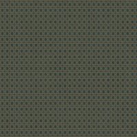 Superfresco Easy - Sublime rotan BlauGrun Vliestapete 10mx52cm von SUPERFRESCO EASY