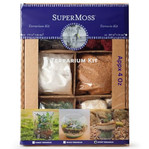 SuperMoss (90424) Wüsten-Terrarium DIY-Kit – Bauen Sie Ihren eigenen Mini-Wüstengarten – perfekte Heimdekoration und durchdachte Geschenke für Pflanzenliebhaber, ca. 118 ml von SUPERMOSS